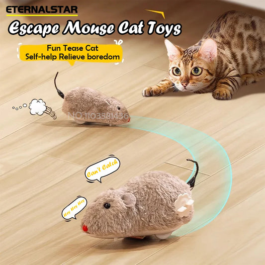 Kattenspeeltje met veerstaart – Onweerstaanbaar