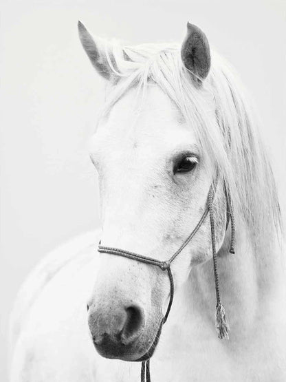 Poster met kaart van wereld of stad