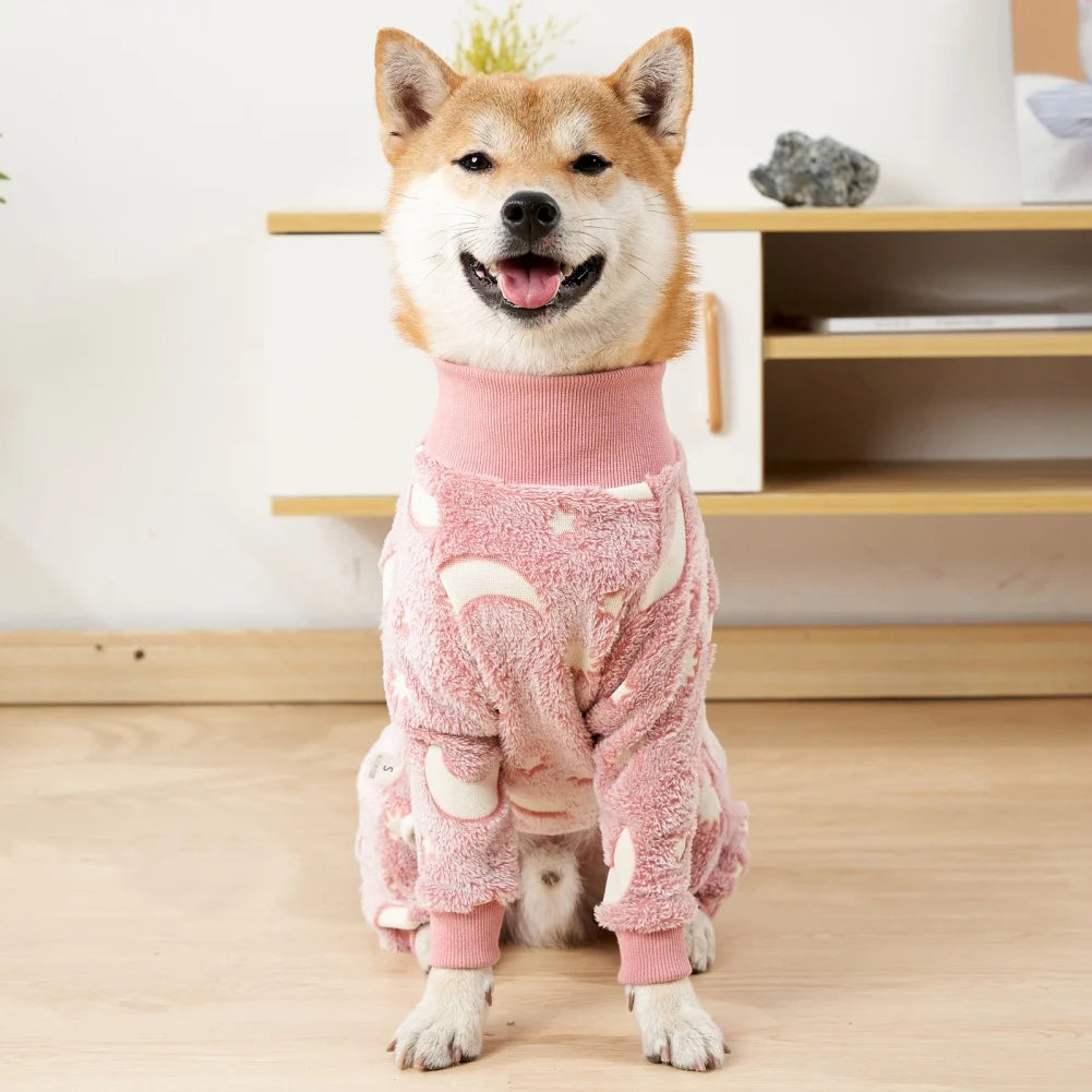 DIY cadeau voor hond – Zelfgemaakt en liefdevol