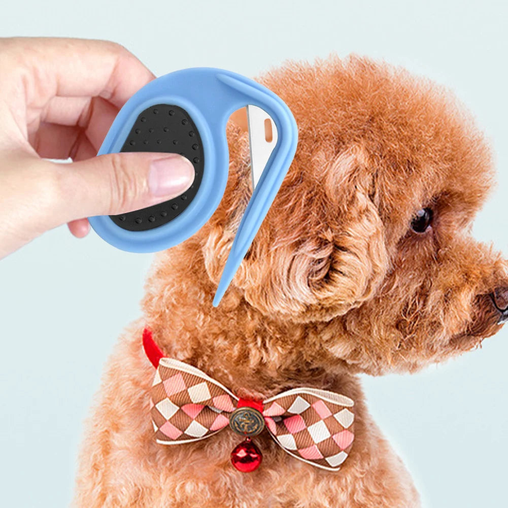 Hondenspeelgoed als cadeau – Speels en actief