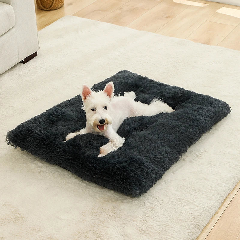 Verjaardagstraktatie hond cadeau – Smullen en spelen