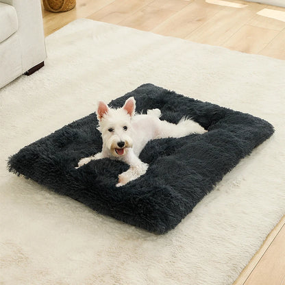 Verjaardagstraktatie hond cadeau – Smullen en spelen