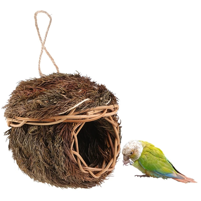 Vogelhuisje Action met print – Speels ontwerp