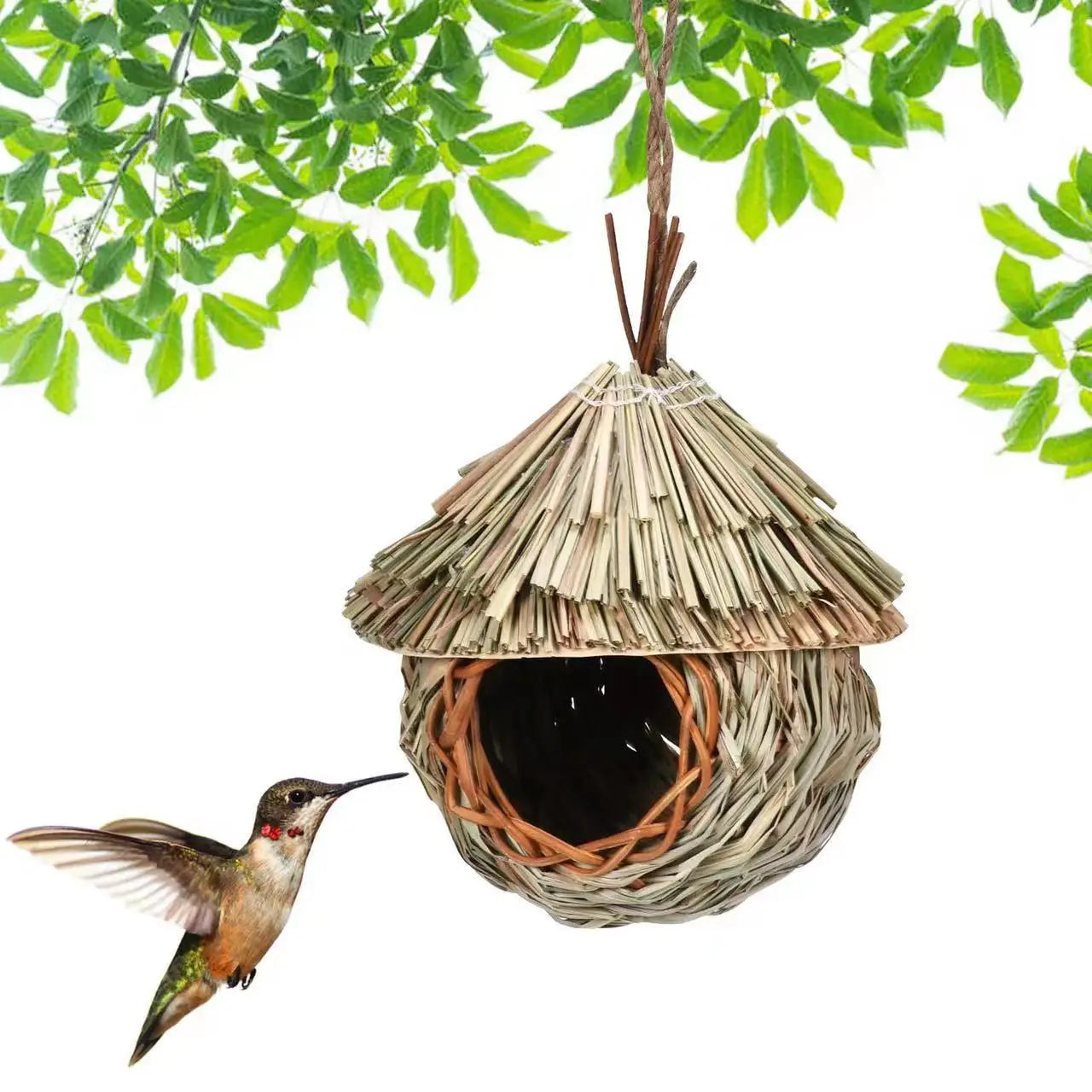 Vogelhuisje op paal – Perfect zicht op bezoekers