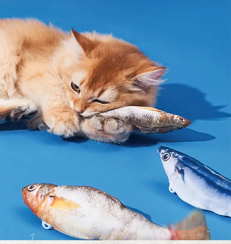 Actieve kattenspeeltjes – Voor speelse katten