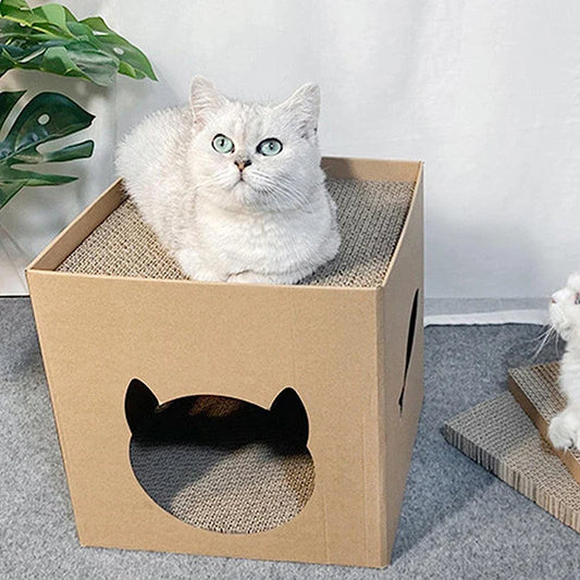 Kattenmand Action met vrolijke print – Leuk en betaalbaar