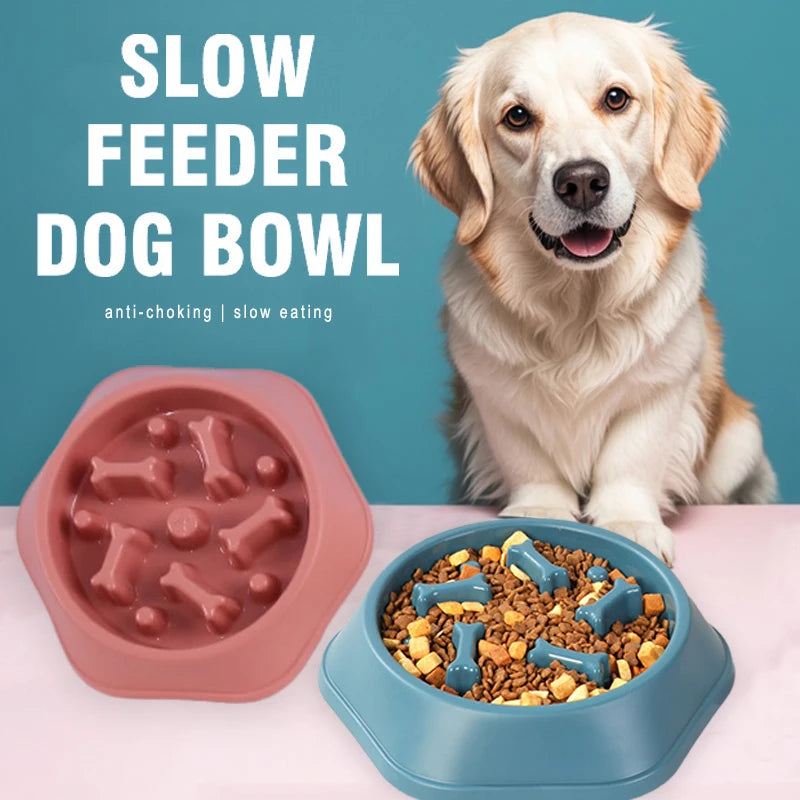 Cadeauset voor hond en eigenaar – Perfect duo pakket