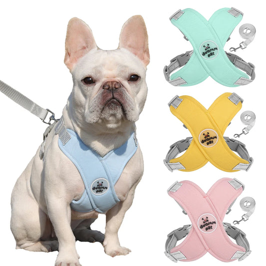 Tuigje met zachte padding – Voor gevoelige honden