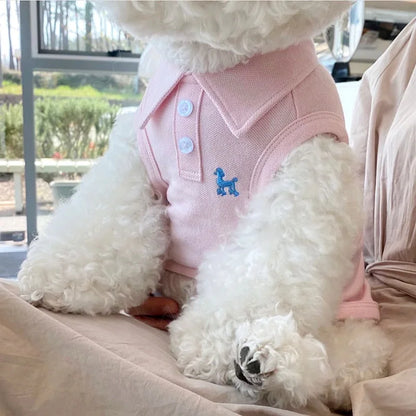 Cadeau voor hond eerste verjaardag – Een blijvende herinnering