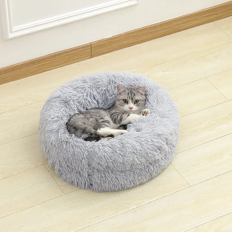 Hondenmand – Comfortabele rustplek voor je hond