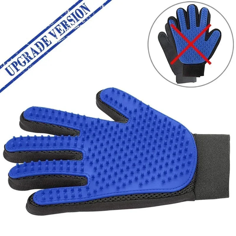Cadeau voor hond en mens – Duo plezier
