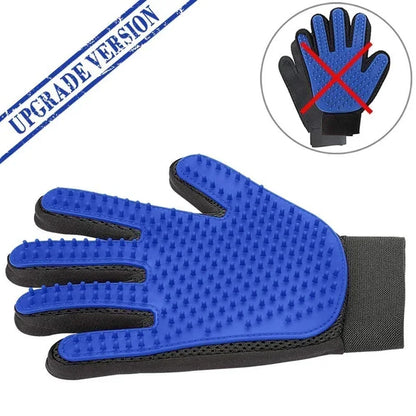 Cadeau voor hond en mens – Duo plezier