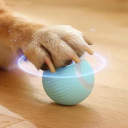 Verjaardagscadeau hond met naam – Gepersonaliseerd plezier