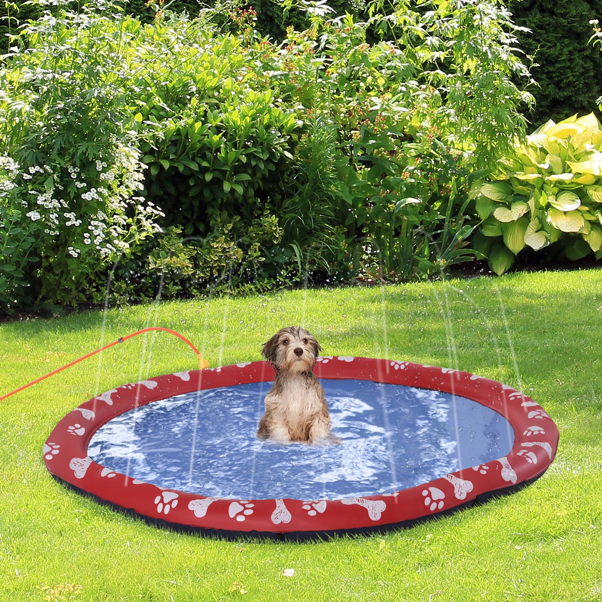Cadeauset hond inclusief snacks – Voor grote en kleine honden