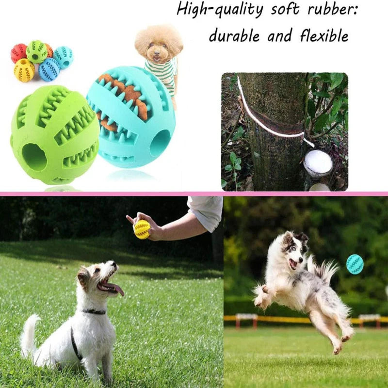 Verjaardagsbox hond – Snoep, speelgoed en liefde