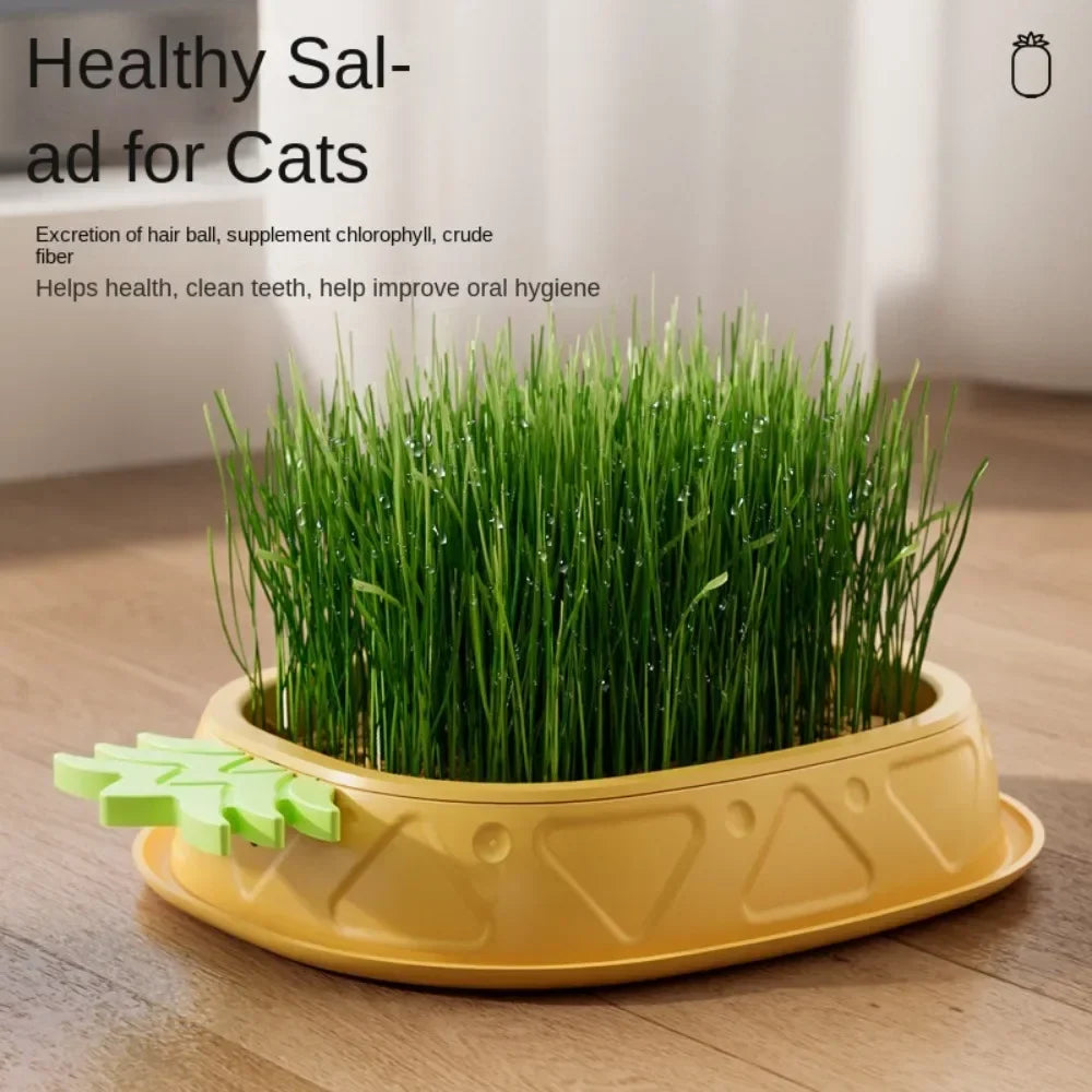 Katten speelgoed Action met hanger – Voor deurknoppen of krabpalen