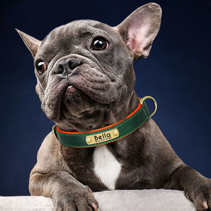Verjaardag hond cadeaubox – Vier feest in stijl