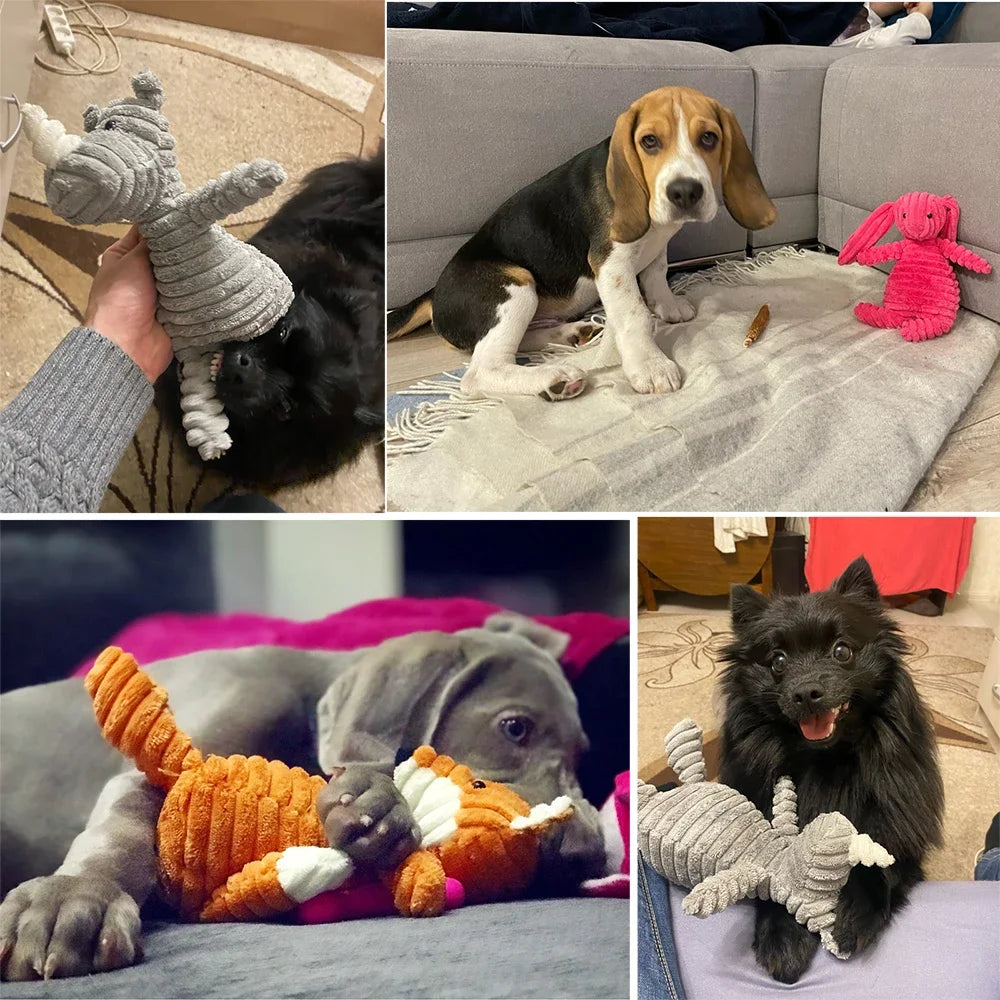 Verjaardag hond met cadeaubox – Compleet feestpakket