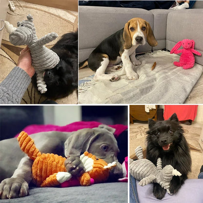 Verjaardag hond met cadeaubox – Compleet feestpakket