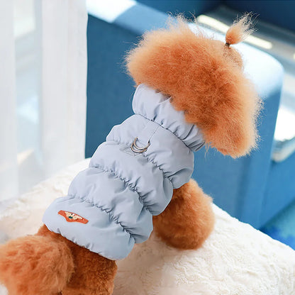 Snack cadeau voor hond verjaardag – Smakelijke verwennerij