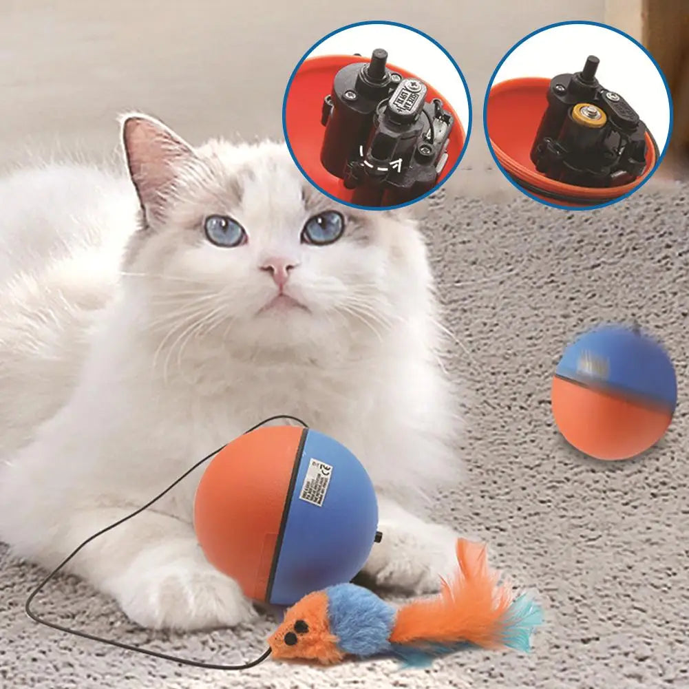 Action kattenspeelgoed in felle kleuren – Valt goed op