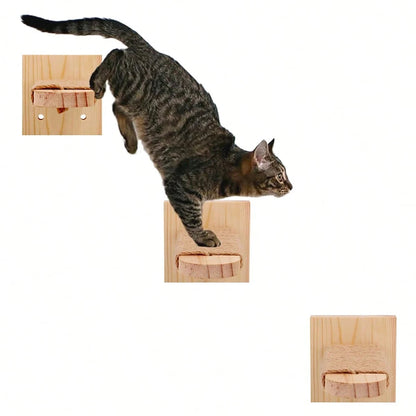 Hoge design krabpaal voor grote katten – Volledig speelparadijs