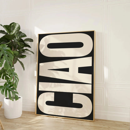 Posterstore posters in A4, A3 en A2 formaat