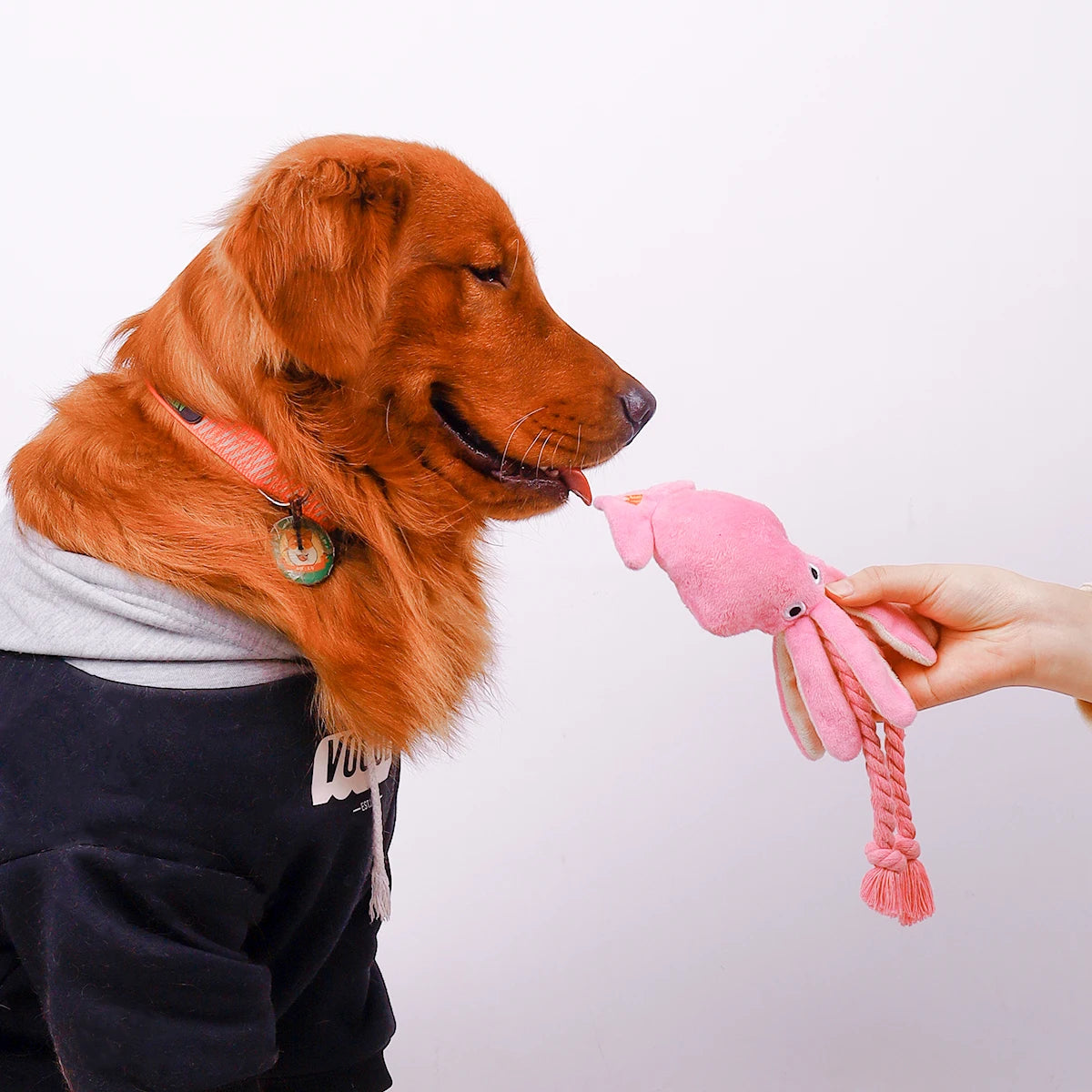 Cadeaupakket hond verjaardag – Compleet en feestelijk