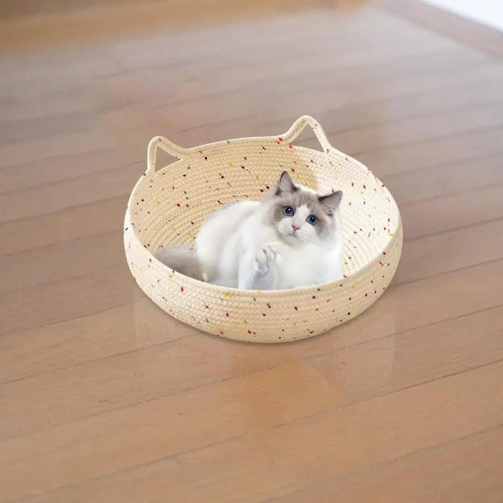 Goedkope kattenmand Action – Comfort voor elk budget