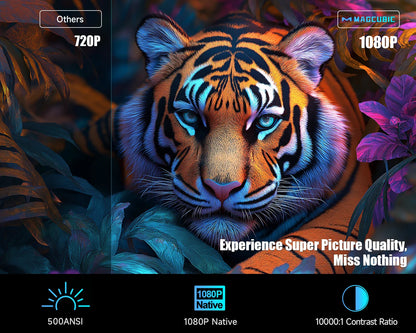 Multimedia projector voor entertainment