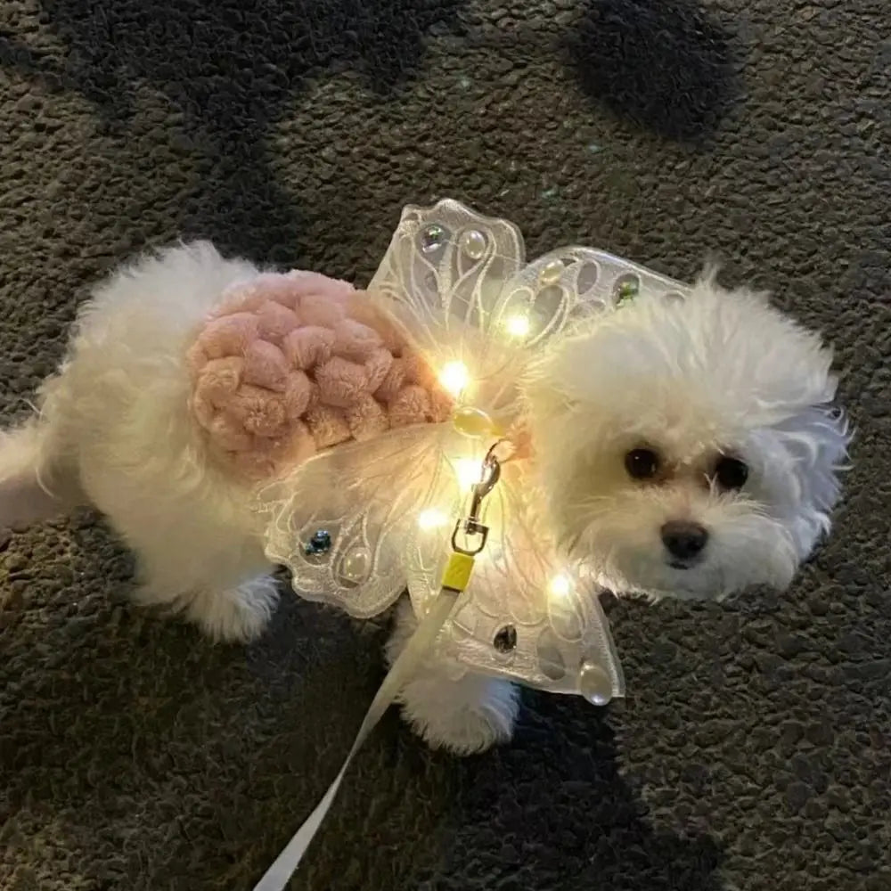 Action honden tuigje – Lichtgewicht en voordelig