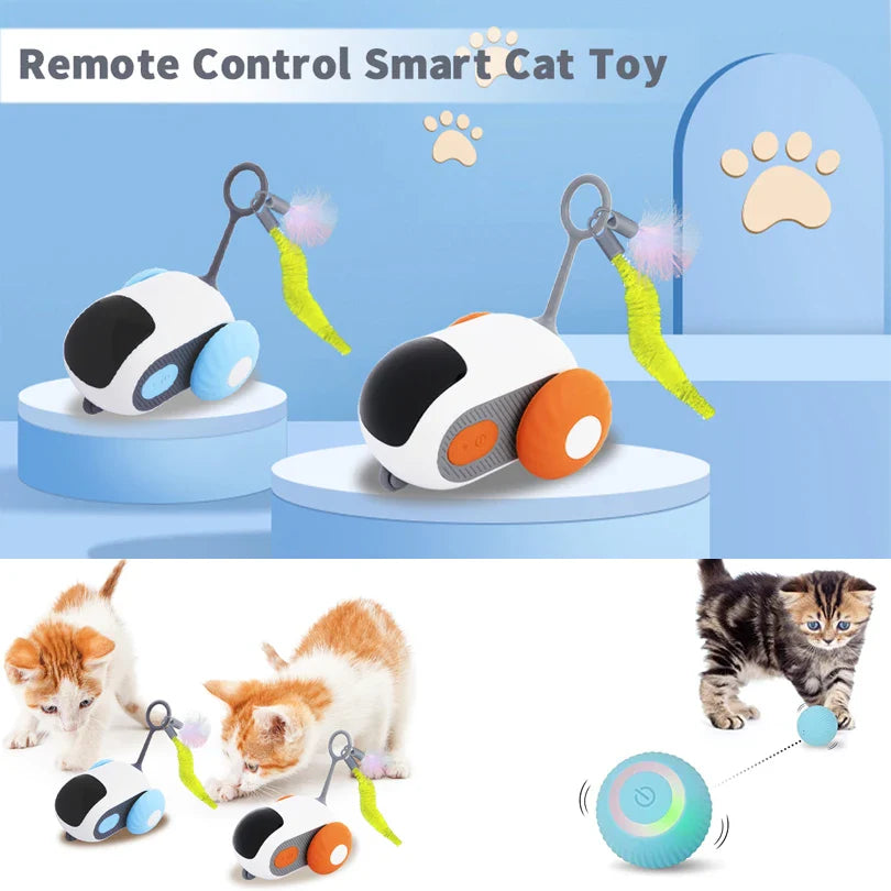 Interactief kattenspeeltje – Voor actieve katten