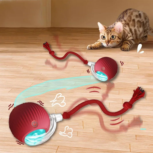 Interactieve katten speeltjes – Blijf samen in beweging