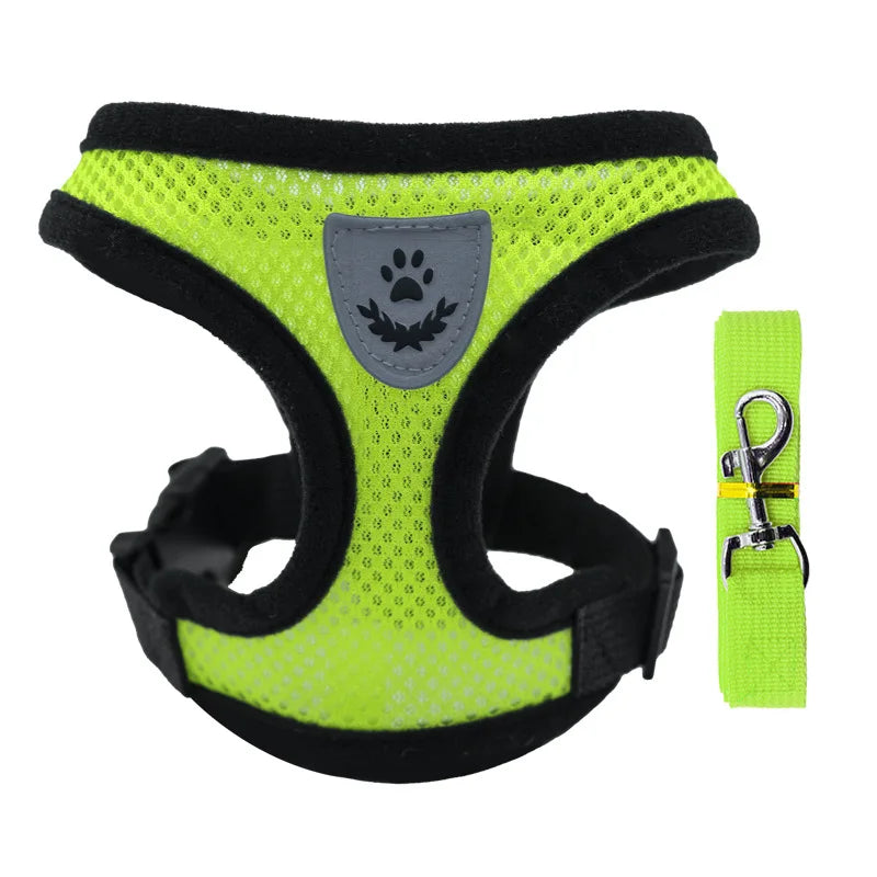Tuigje voor hond Action met basic design – Praktisch en voordelig