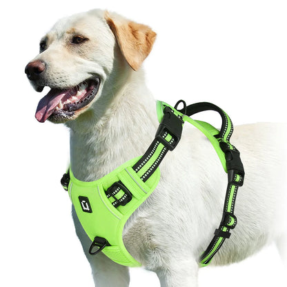 Tuigje voor hond met Y-vorm – Natuurlijke bewegingsvrijheid