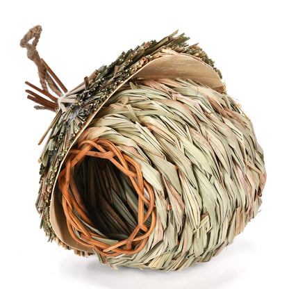 Vogelhuisje Intratuin – Sfeervol en decoratief