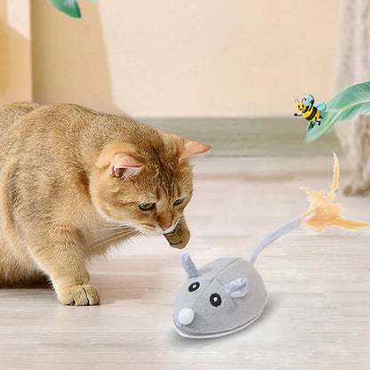 Leukste kattenspeeltje van het jaar – Getest en goedgekeurd