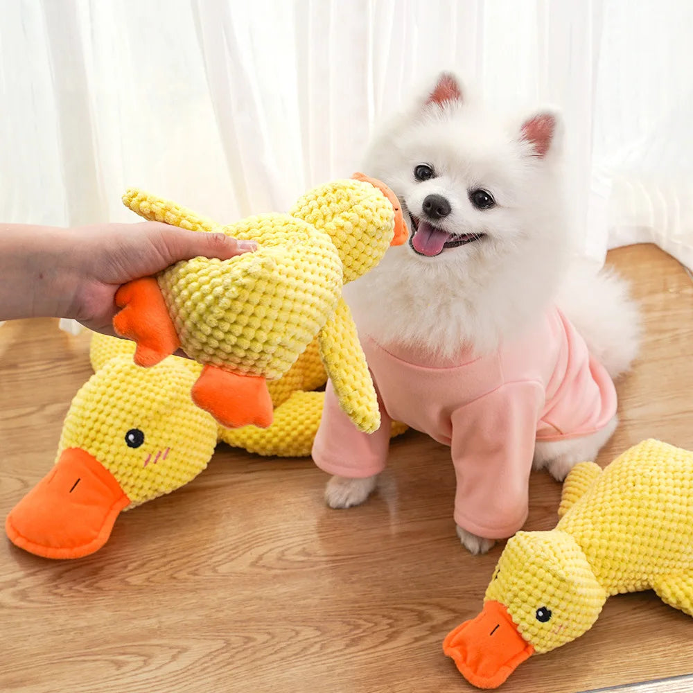 Verwenpakket voor hond – Pure verwennerij