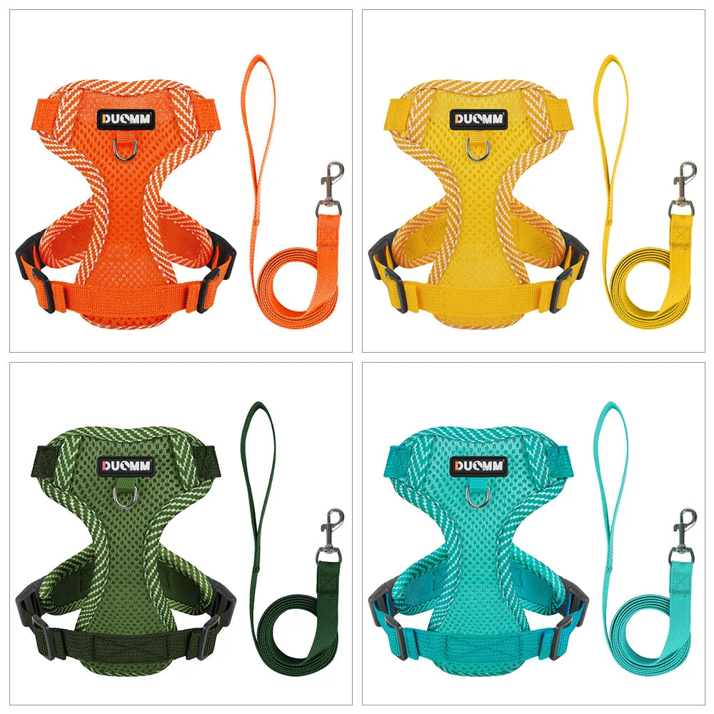 Tuigje hond met minimalistisch design – Licht en effectief