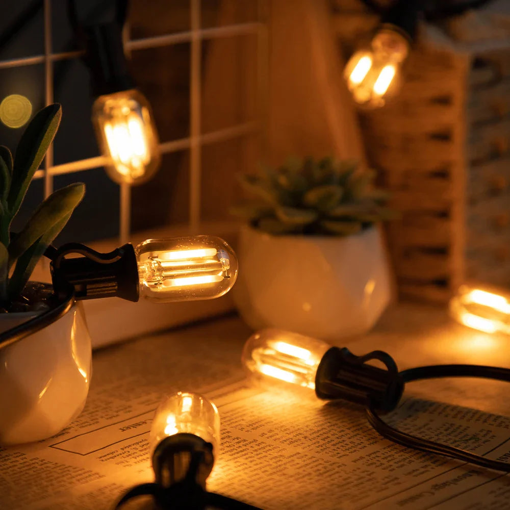 Licht slinger met glaslampjes – Voor binnen en buiten