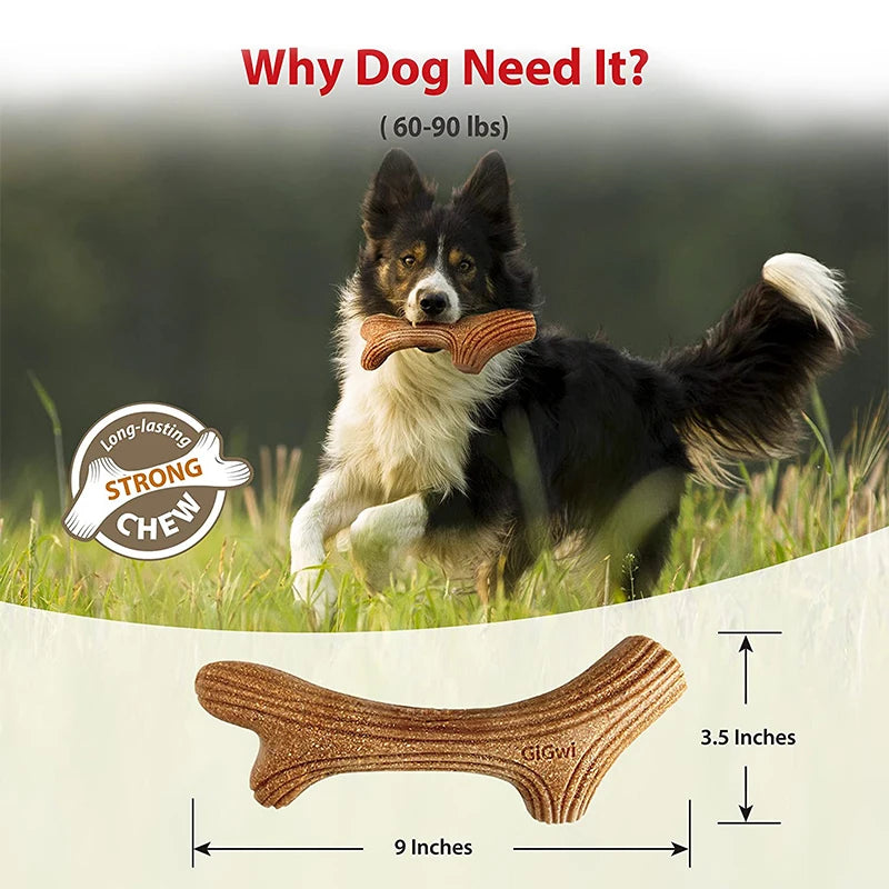 Origineel cadeau voor hond en baas – Praktisch en lief