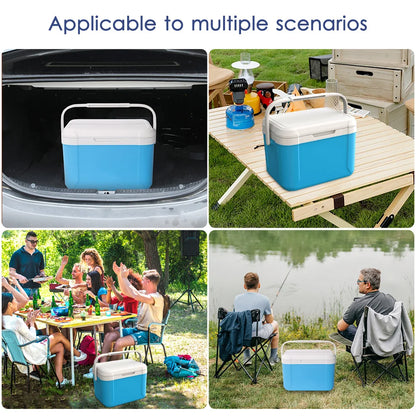 Auto koelbox met actieve koeling