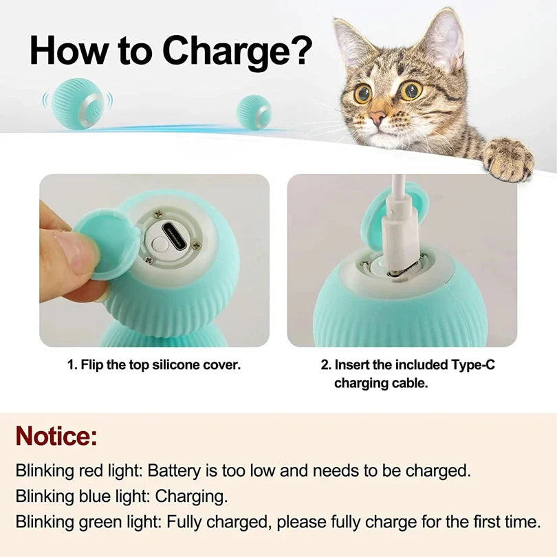 Katten speeltjes met catnip en veer – Dubbel plezier