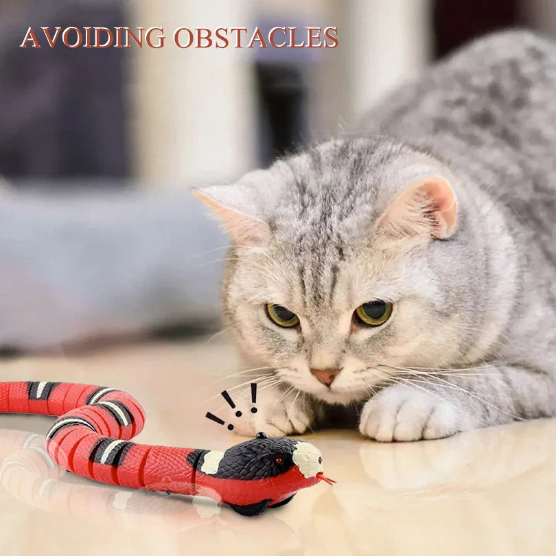 Action katten speeltjes set – Vol variatie