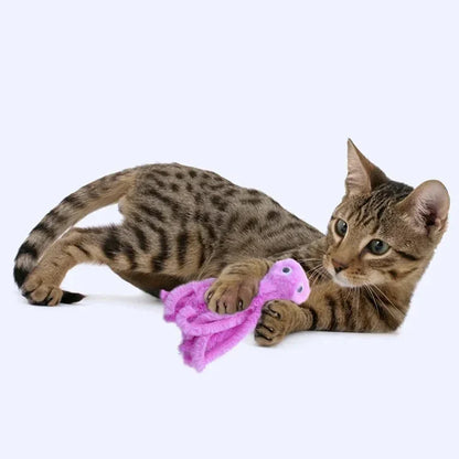 Kattenspeeltjes voor in de krabpaal – Speel en krab tegelijk