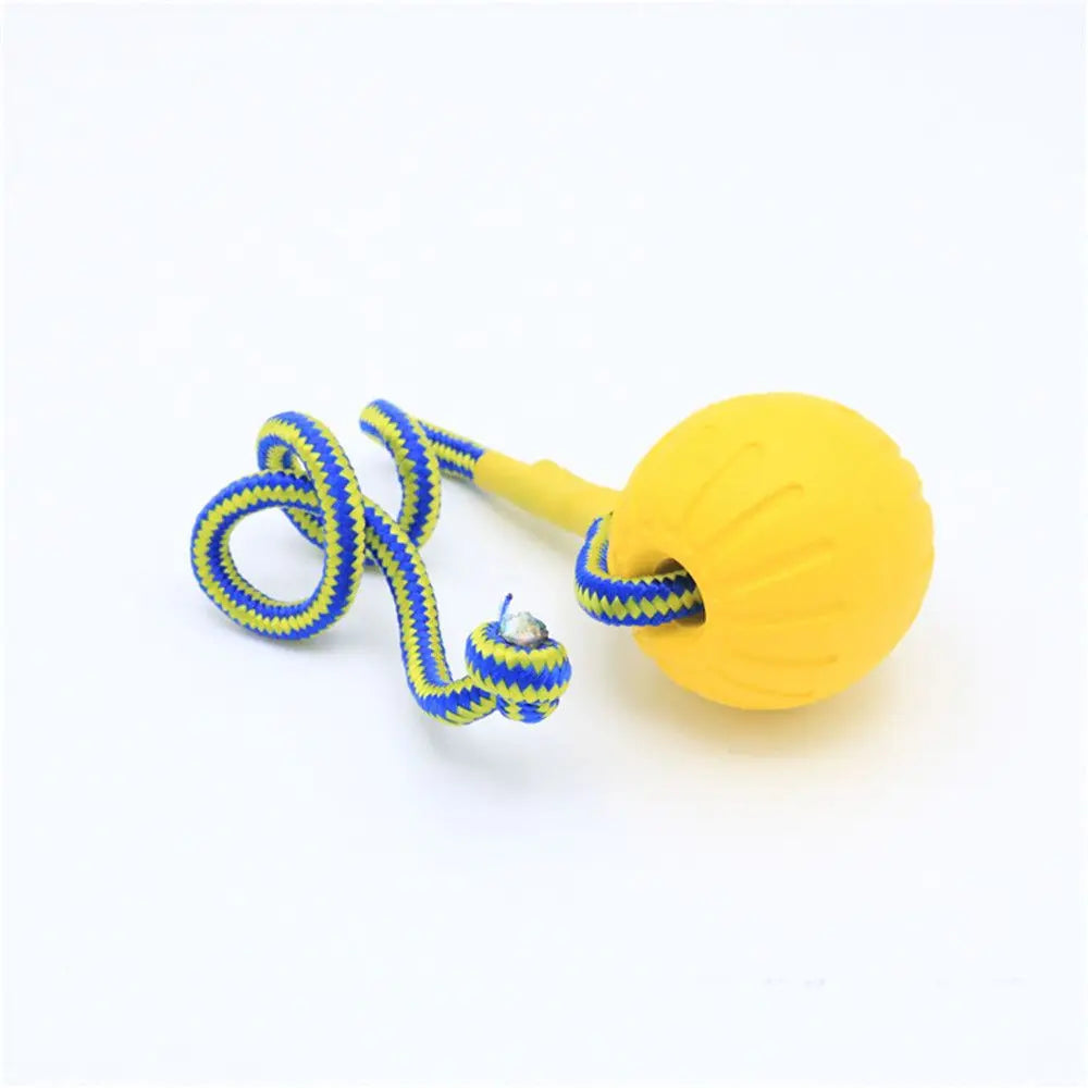 Cadeau hond en baasje set – Samen in stijl