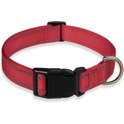 Cadeau voor hond en baas – Samen genieten