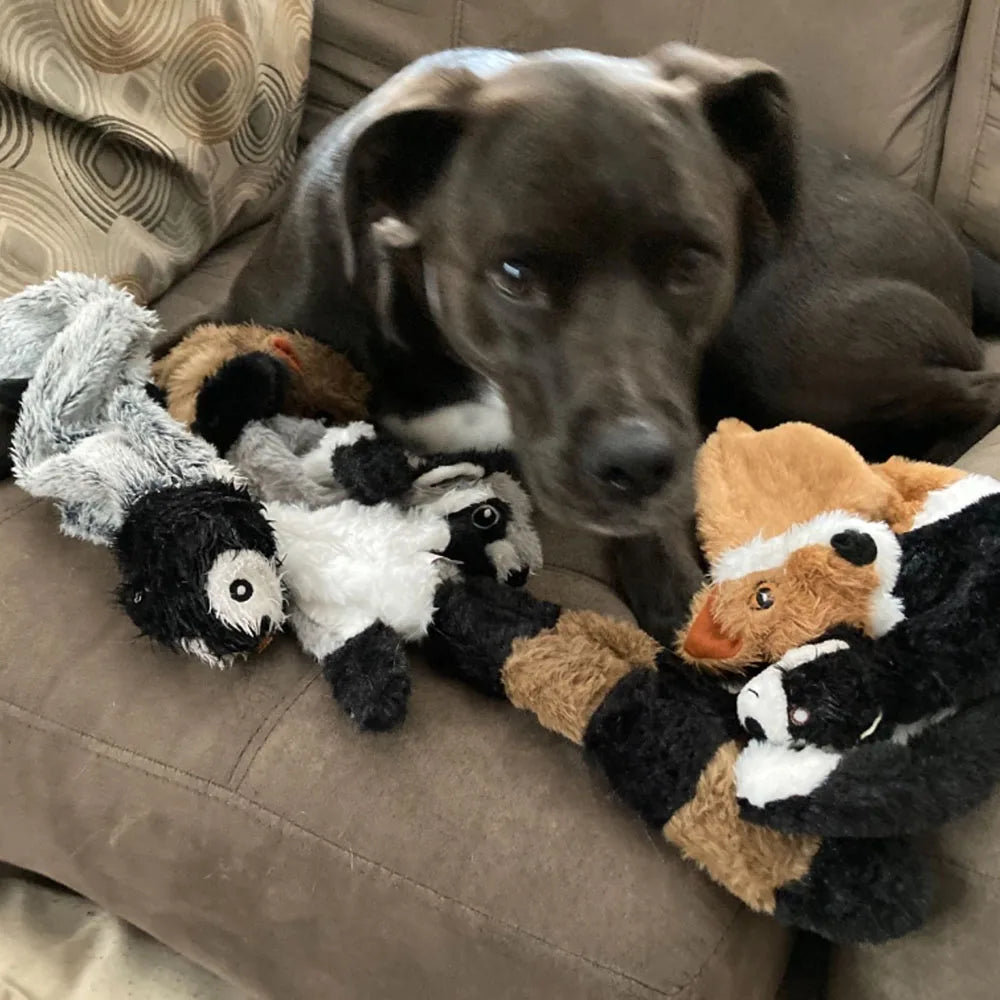 Cadeau hond verjaardagset – Compleet met feestmuts