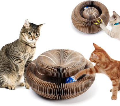 Krabpaal Maine Coon – Sterk en stabiel ontwerp