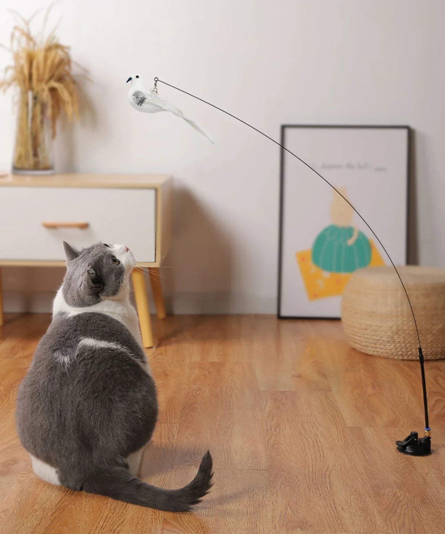 Kattenspeeltje met ritselend materiaal – Stimuleert nieuwsgierigheid